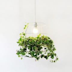 Hanging Plant Cage Pendant Light