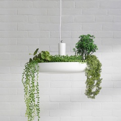 Babylon Hanging Garden Plant Light