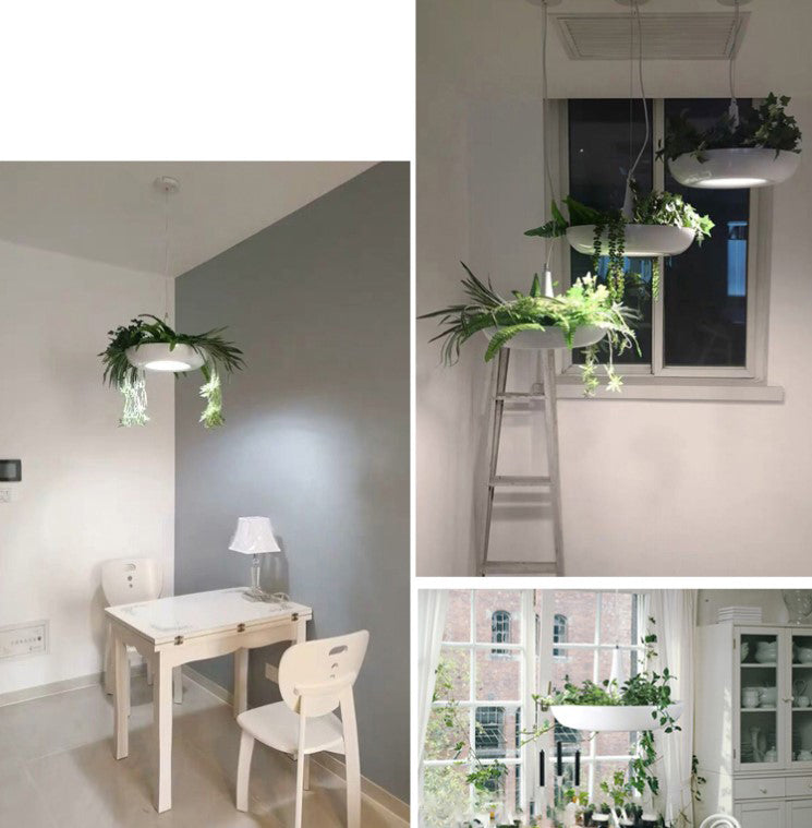 Babylon Hanging Garden Plant Light
