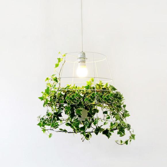 Hanging Plant Cage Pendant Light